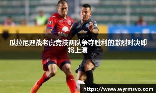 彩神VI首页官网