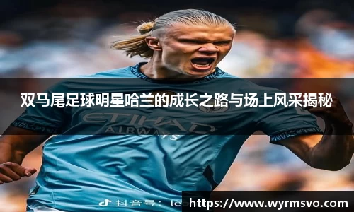 双马尾足球明星哈兰的成长之路与场上风采揭秘